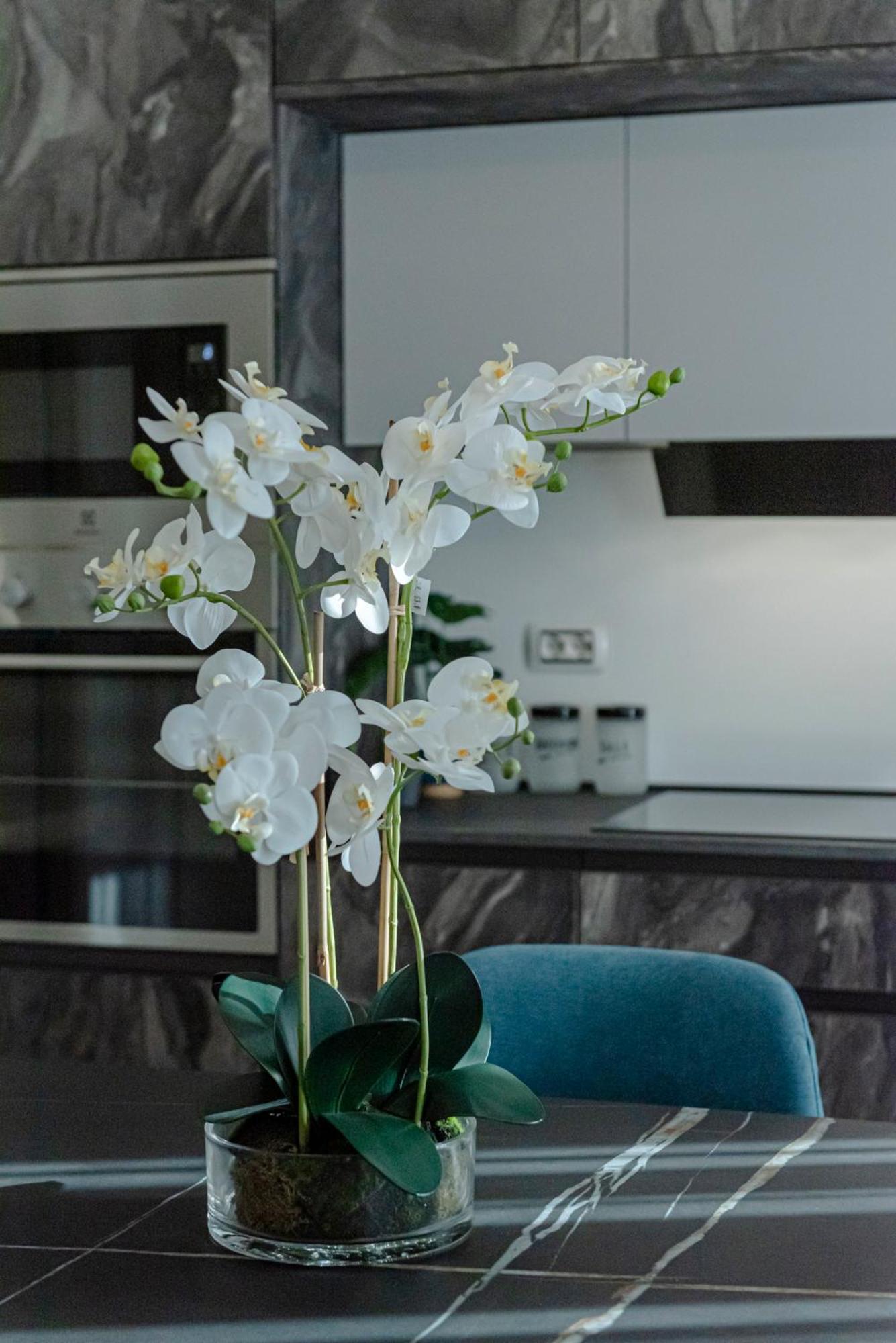 Bed & Breakfast Il Narciso Rome Exterior photo