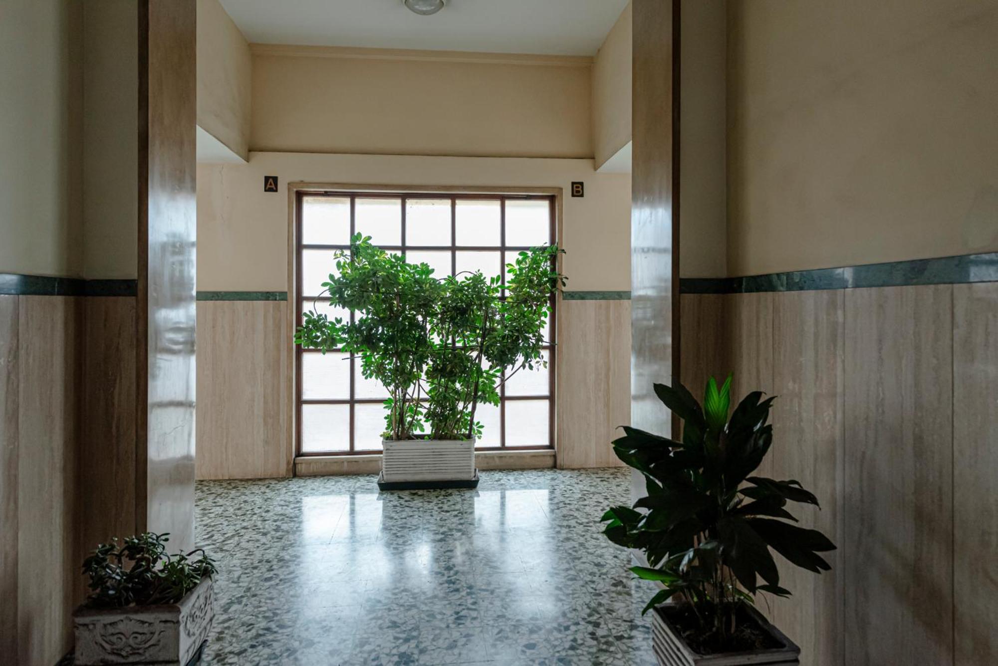 Bed & Breakfast Il Narciso Rome Exterior photo